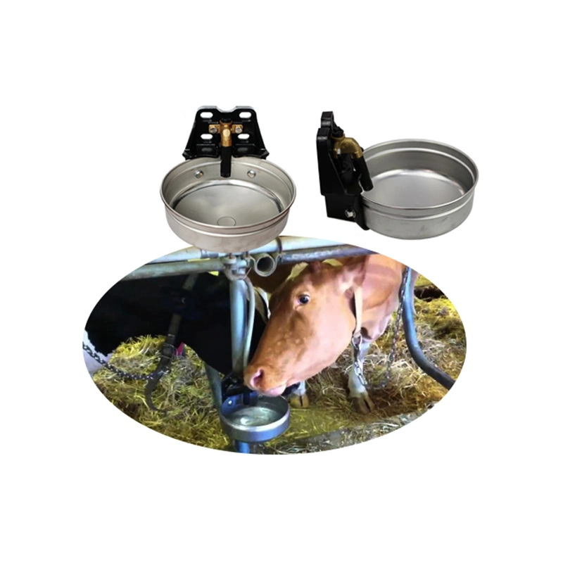 Automatische Viehzucht Wasser Single Acess beschichtete Pulveroberfläche Automatische Stock Waterer, ideal für Pferde, Kühe und Schweine