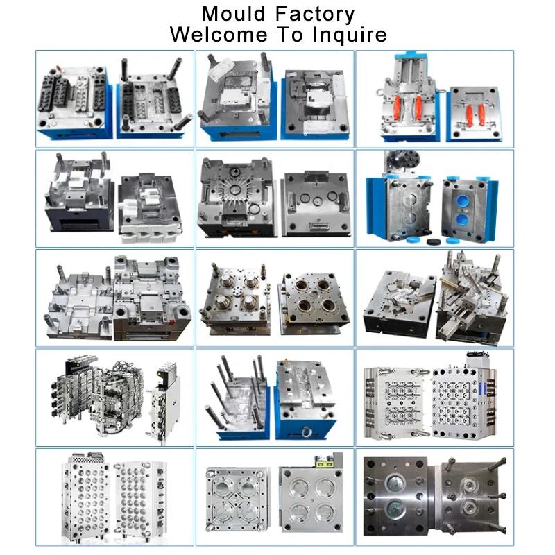 Customized Plastic Injection Shell Plastic Mold Service