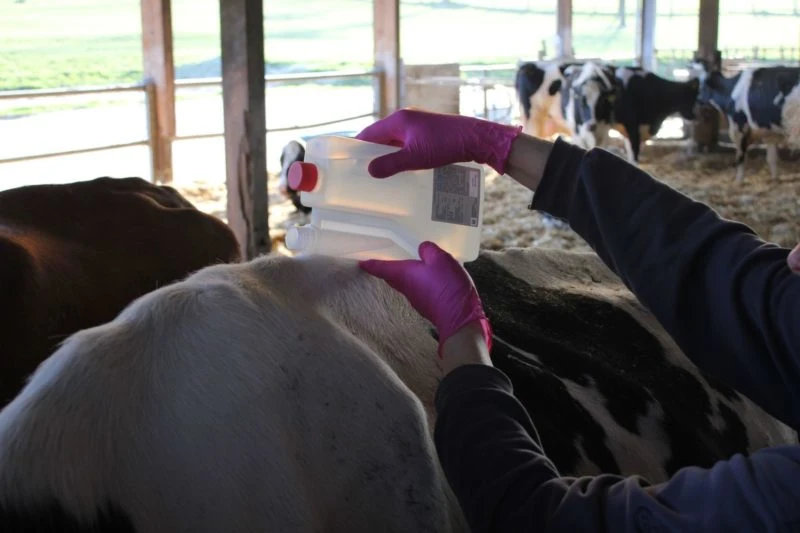 Veterinärmedizin Amitraz 12,5 1L Pro Bottle Großhandel entwurmt aus China Pharmazeutische Hersteller