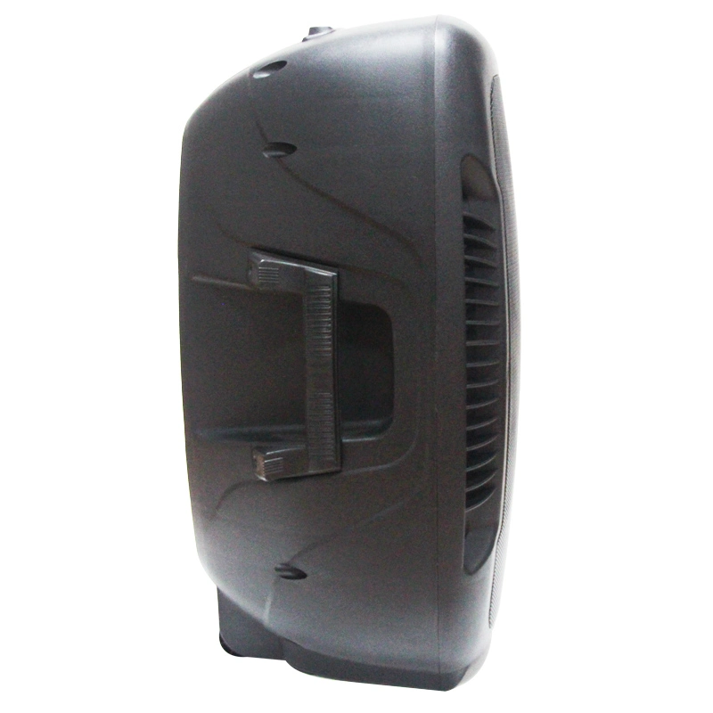 15 Inch Professional Loudspeaker with Microphone Input