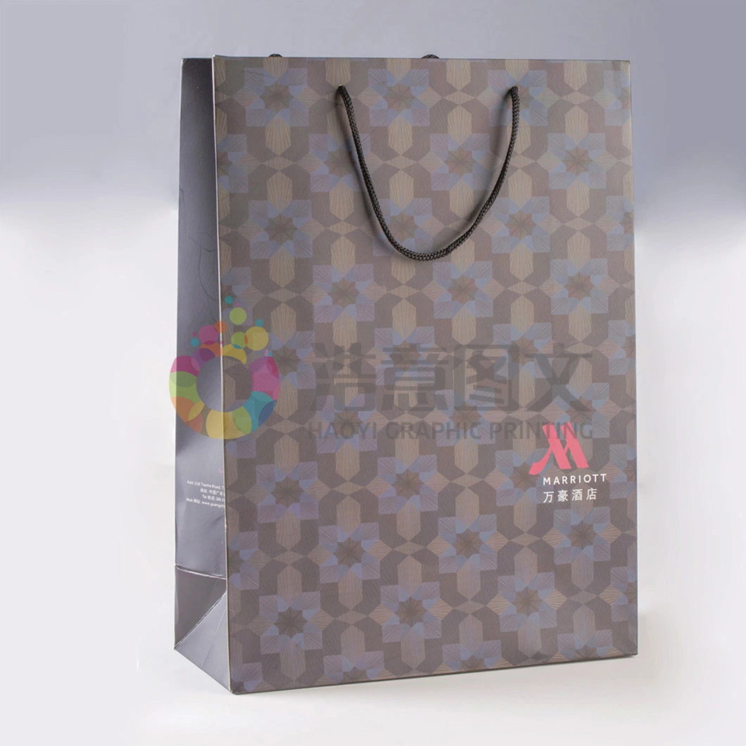 OEM Factory Wholesale Customized Office Supply Paper Bag with Rope