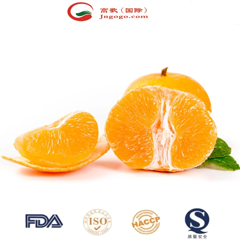 Fresh Mandarin and High- Quality Wogan Mandarin From China