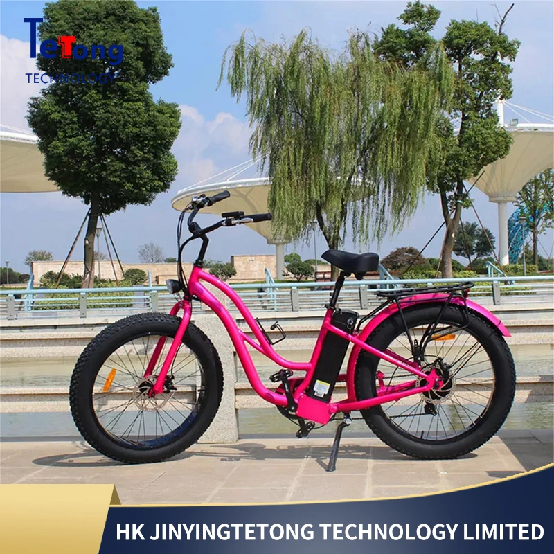 New Design 20 Inch Foldable Electric Bike Lightweight Folding Electric Bike 48V Battery Cheap Electric Bike with Pedal