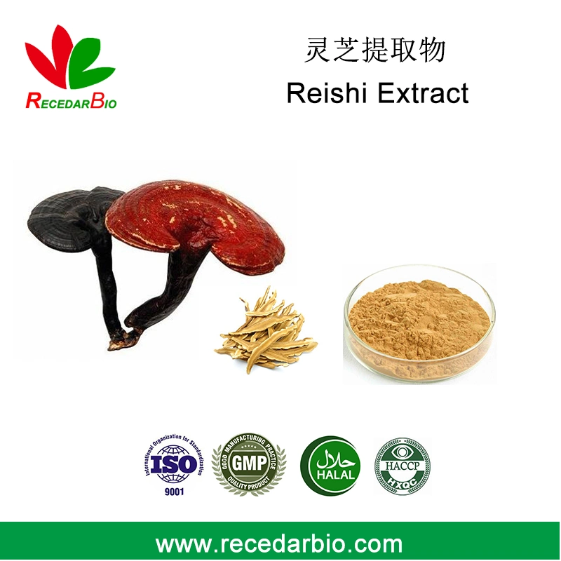 Natural Ganoderma Lucidum / Lingzhi /Reishi Mushroom Extract Powder Reishi Triterpene