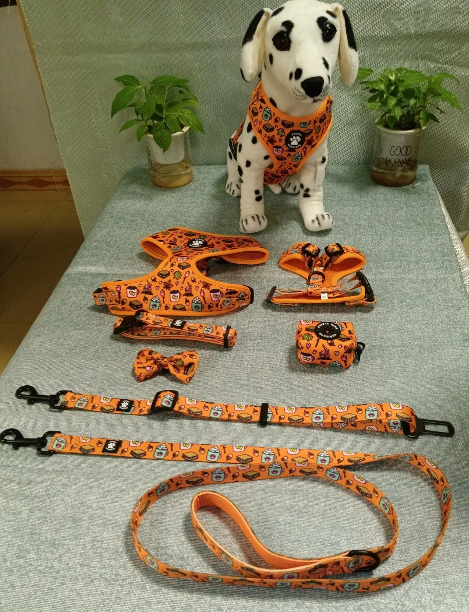 Professional Pet Supplies Dog Harness and Leash Retractable Dog Leash/Pet Toy/Pet Accessory