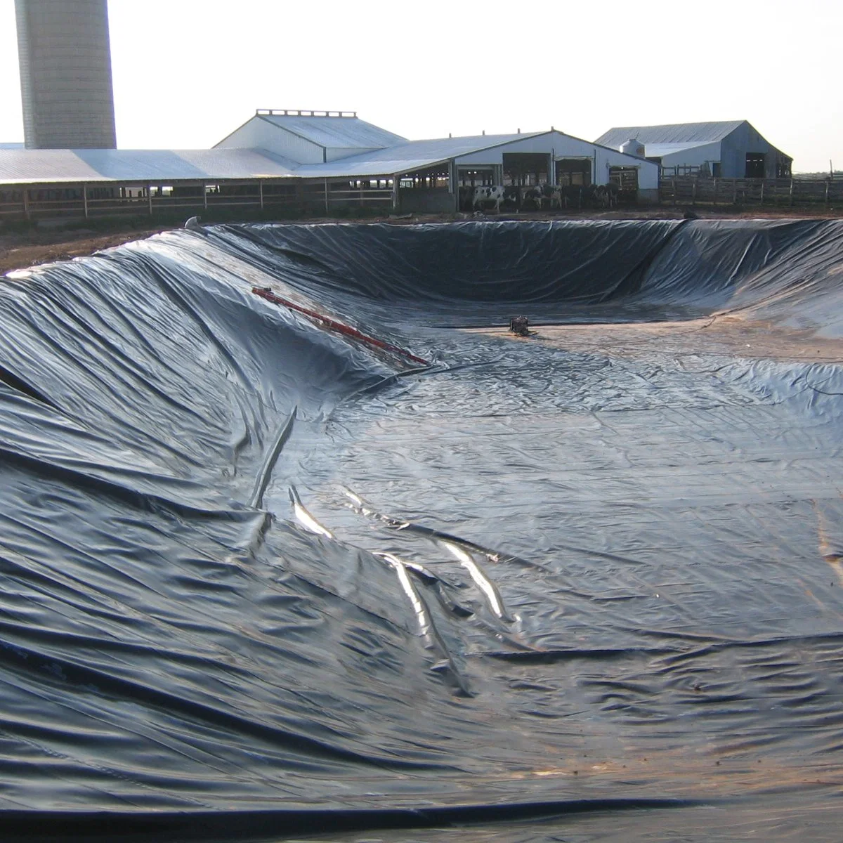 Professionelle Herstellung Wasserdichte Geomembrane Dam Pond Liner