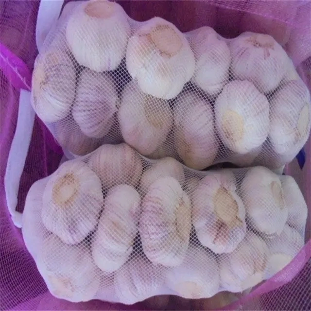 Fresh Garlic for New Garlic 2023 Peeled Garlic