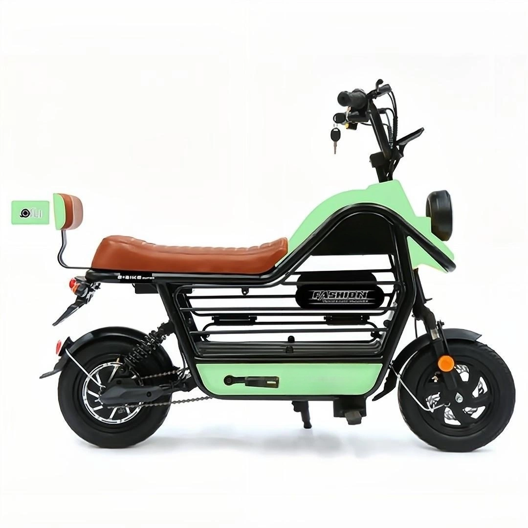 BXB-114e Familien-Shopping Warm Reisen mit Petselectric Motorbike