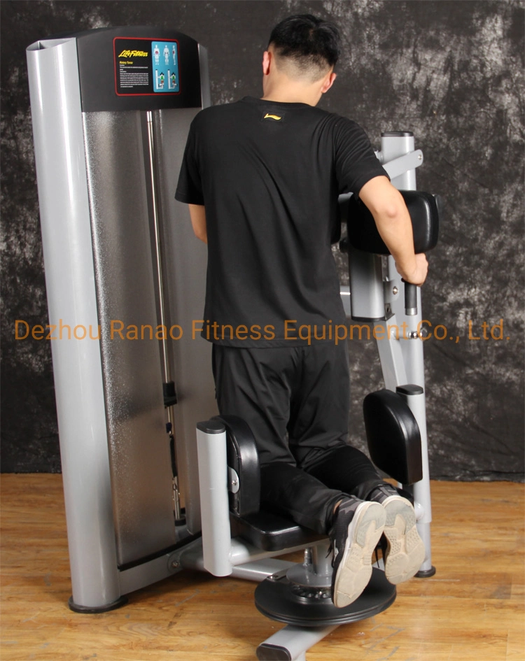 Home Gym Pin Loaded Exercise Lumbar Abdominal Strength Equipment Torso Rotation Sports Equipment for Fitness Machines