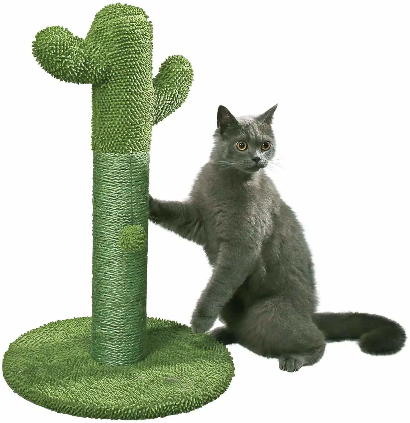 Poste de grattage pour chats, poste de grattage pour chats Cactus