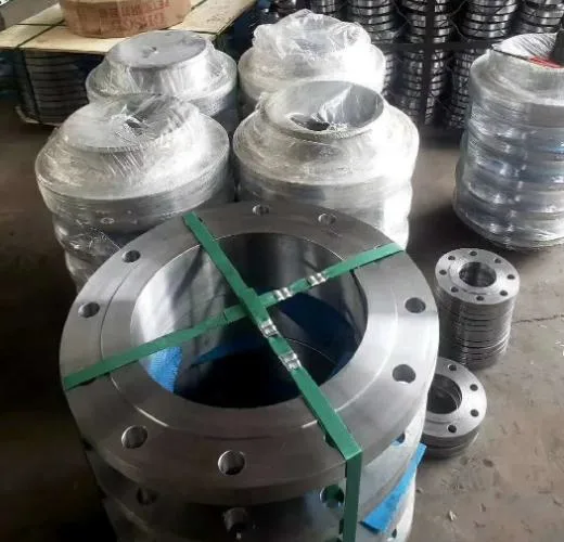 Forged Carbon Steel Stainless Steel Threaded Flange According to ANSI B16.5 DIN En1092-2 GOST Standard