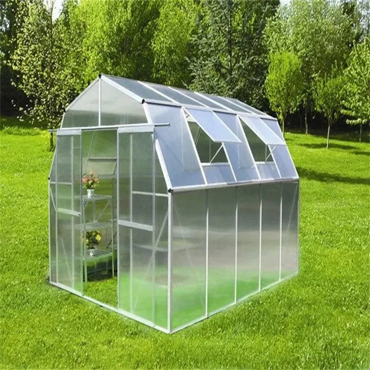 Mini-preço de fábrica com efeito de estufa de PVC interior bricolage/Jardim Green House estufas portáteis de boa qualidade