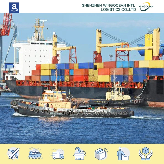 Sea Shipping Container Agent, From China to USA / Europe/ Africa/ Asia/ Australia/ Middle East/ South America