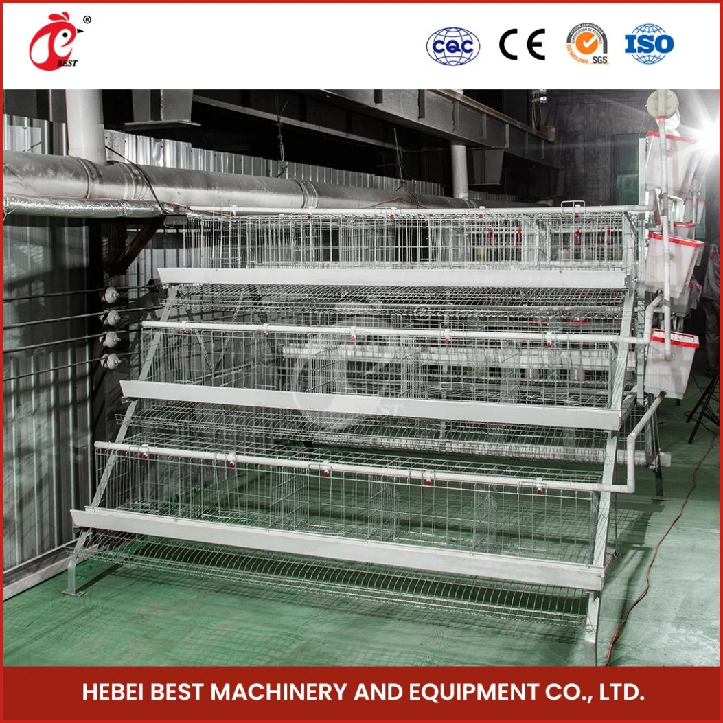 Bestchickencage a Type Layer Cage China Gamefowl Layer Cages Factory Wholesale/Supplier Chicken Broiler Layer Cage Configuration Electric Chicken Coop Door