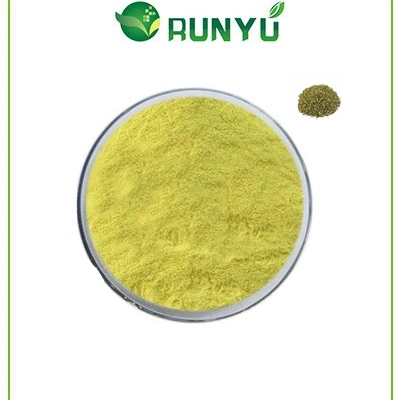 Hot Sell Product Rutin 95% NF11 Sophora Japonica Flower Extract Vitamin P