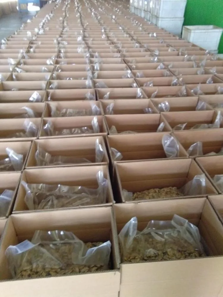 Cracked Walnut/ Xinjiang Walnut/ Suguo Walnut/ Walnut Pack/Export Food/UAE Saudi Walnut