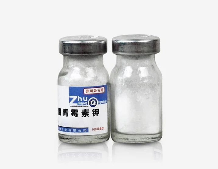 Penicillin Potassium for Injection for Various Infections Caused by Abscess, Bacteremia