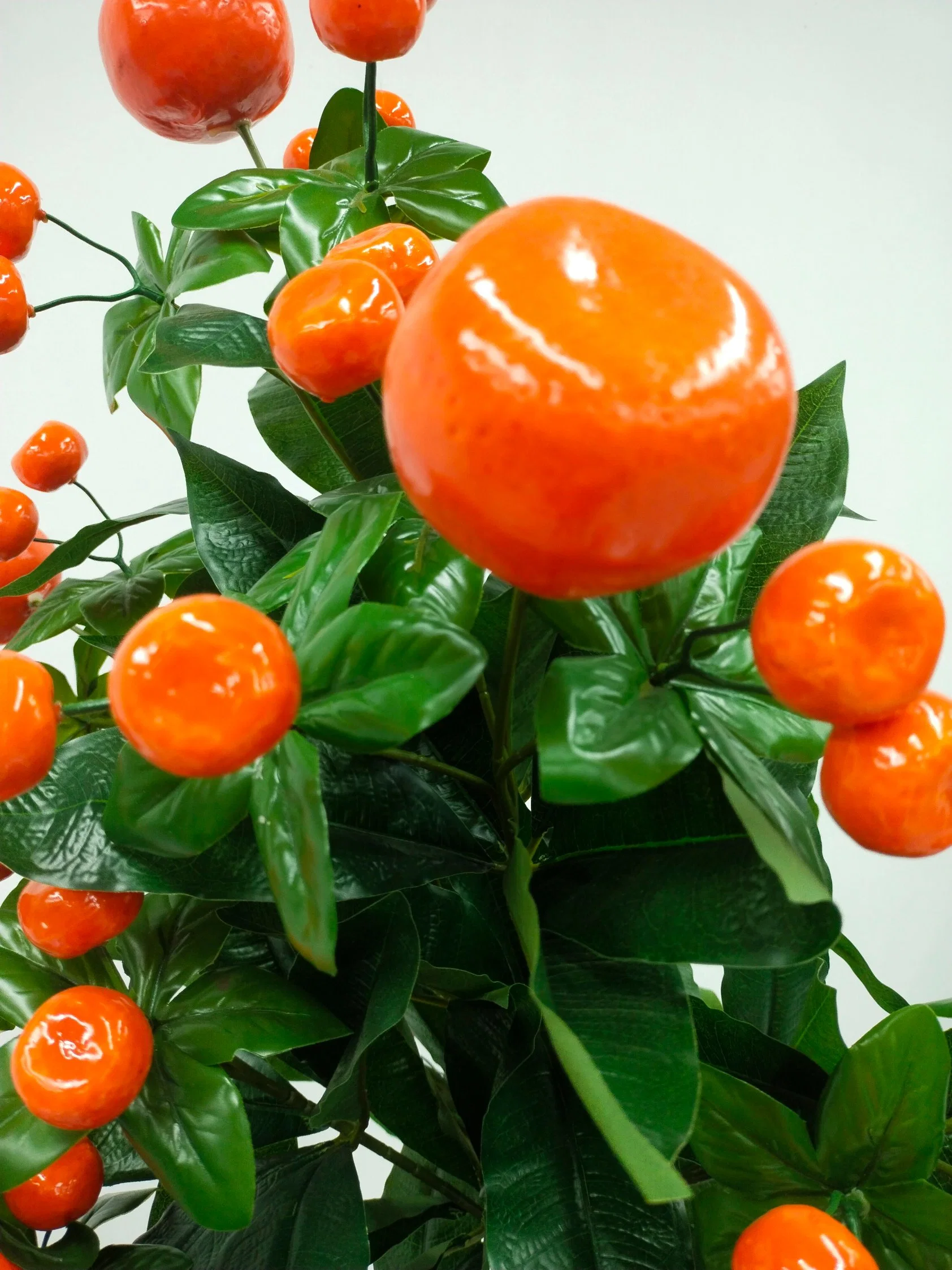 Los descendientes del Golden Jade Pole están llenos de exquisitas Árbol de plantas frutales Kumquat