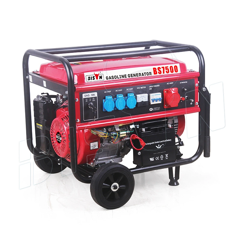 Bison Mini Generador Elctrico Gasolina De 6000W 6.0kw PARA 110V