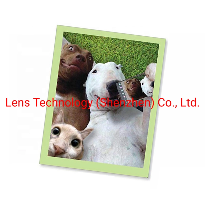 Hot Selling Wholesale Custom Printing Animal 3D Lenticular Greeting Cards