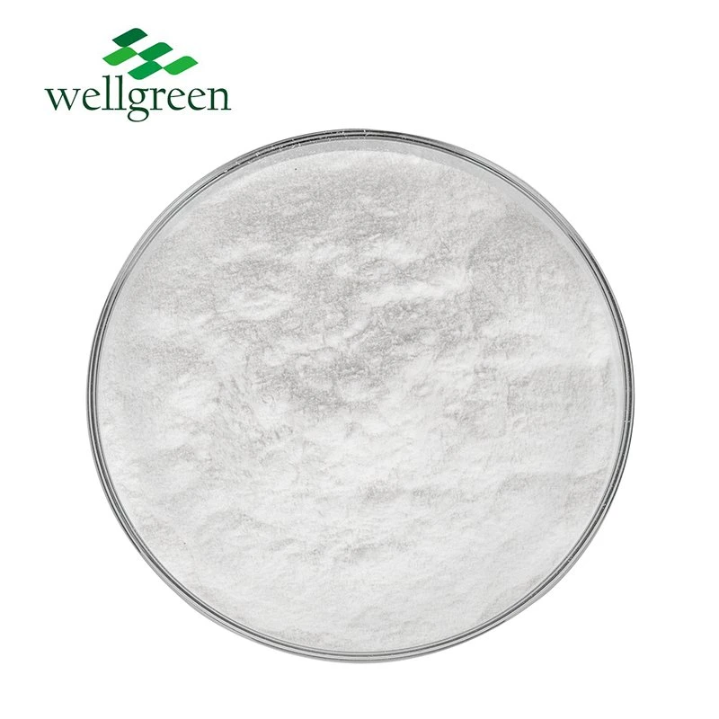 Wellgreen Cosmetic Grade Cleansing Use Lba CAS 96-82-2 99% Lactobionic Acid Powder