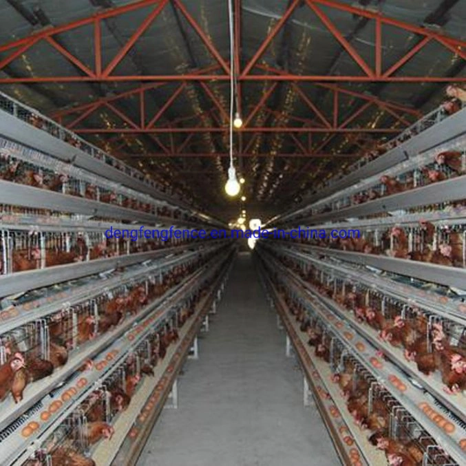 Heißer Verkauf Afrika Huhn Cage zum Verkauf Philippinen Ei Huhn Käfig