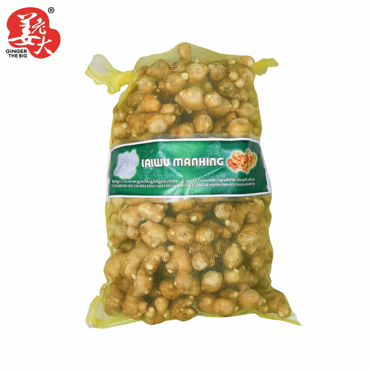 High Quality China New Crop Fresh Ginger& Air Dry Ginger for Export