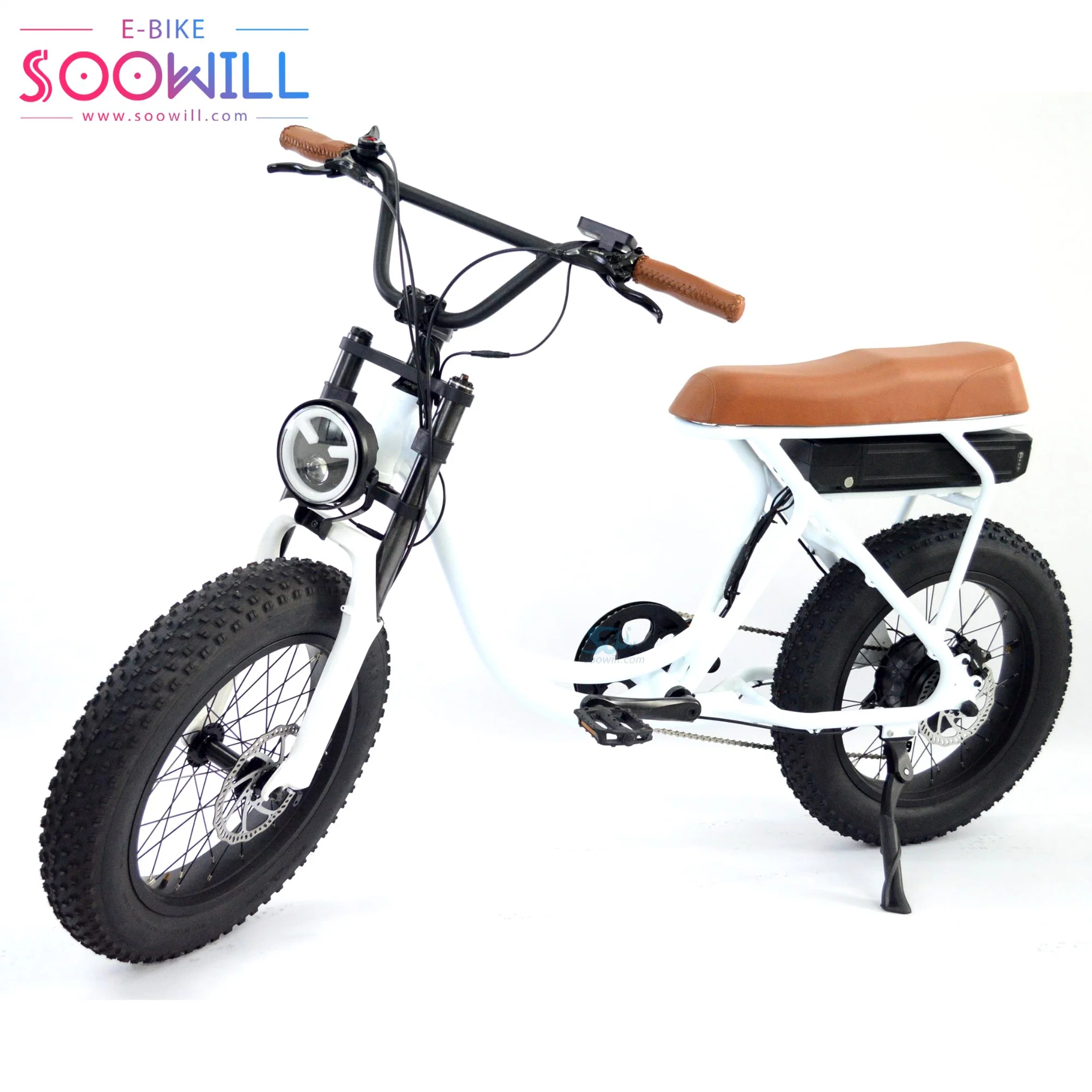 China >60 Km Road 20 Inch Alloy Double Wall 2023 Delivery Electric City Bike Ebike