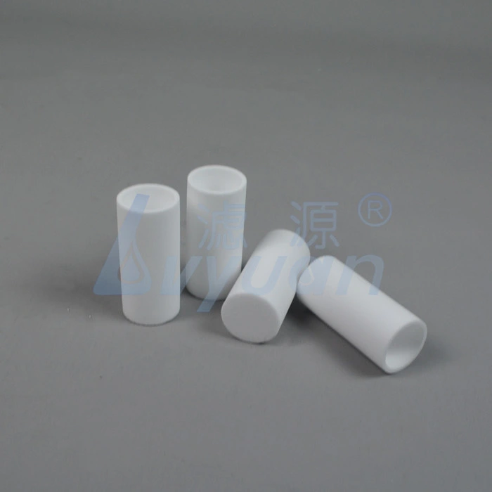 Customized Size 1 to 50 Micron Plastic PE Filter Sintered Water Filter with DOE Soe End Cap