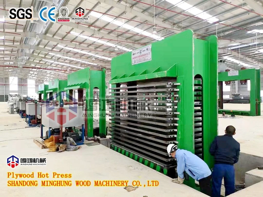 Minghung Plywood Production Line for Construction Plywood