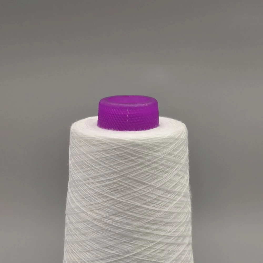 Whhmy Heat Set 100% Polyester Yarn 206 with Yizheng Fiber