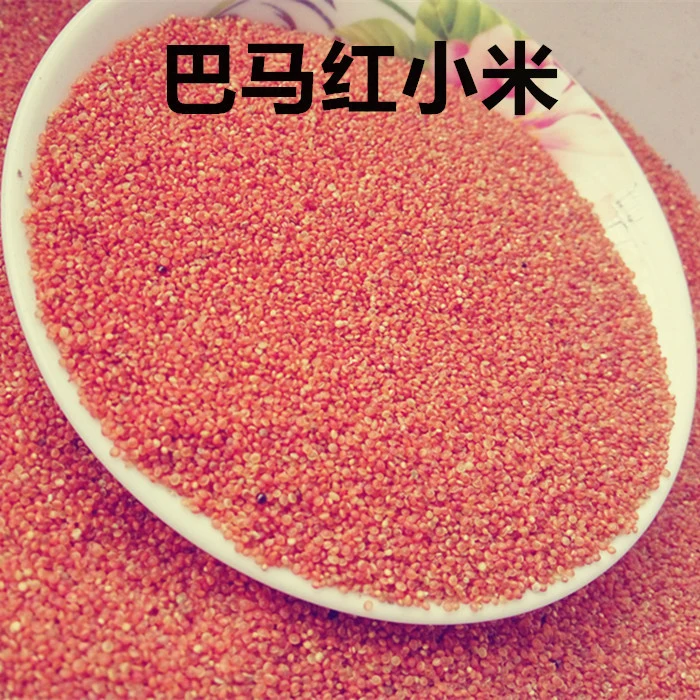 Millet of Various Colors Is Planted in China