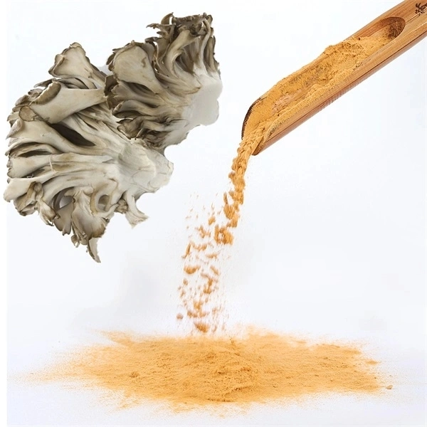 الصحة الغذاء النباتات العضوية المستخلصات المستخلصات ميتاك Mushroom Extract Powder In الأسهم