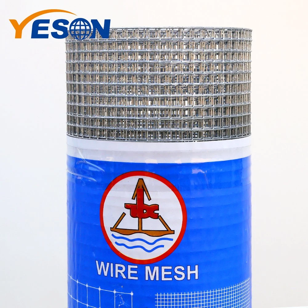 High quality/High cost performance  of Galvanized Wire Mesh Bird Screen for Japan Market