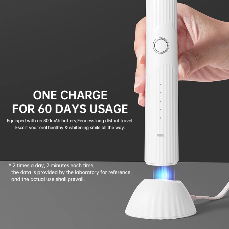 Dental Clinic Portable Sonic Electric Toothbrush Whitening Toothbrush for Adult