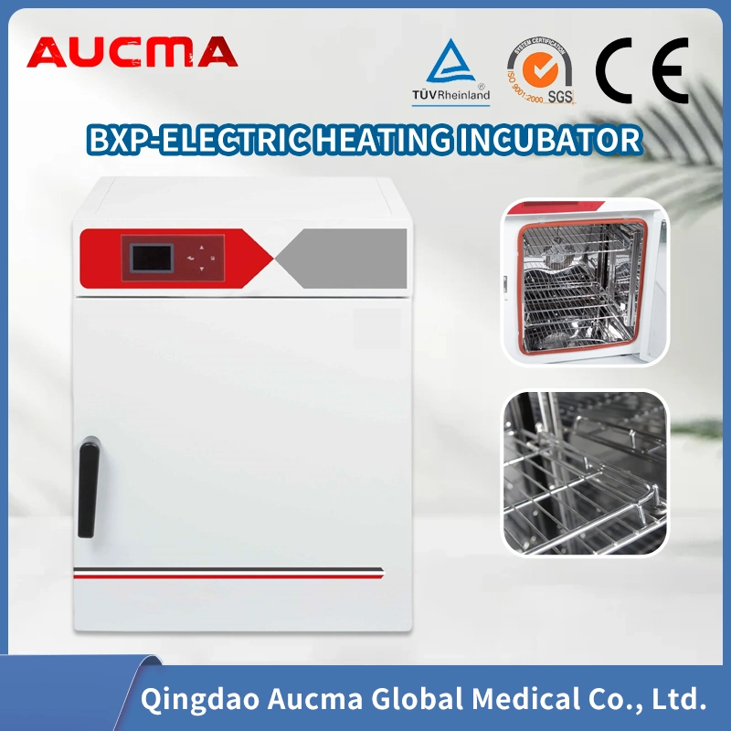 Incubadora de temperatura constante eléctrica Equipo de laboratorio de instrumentos de laboratorio de mejor venta Termostato