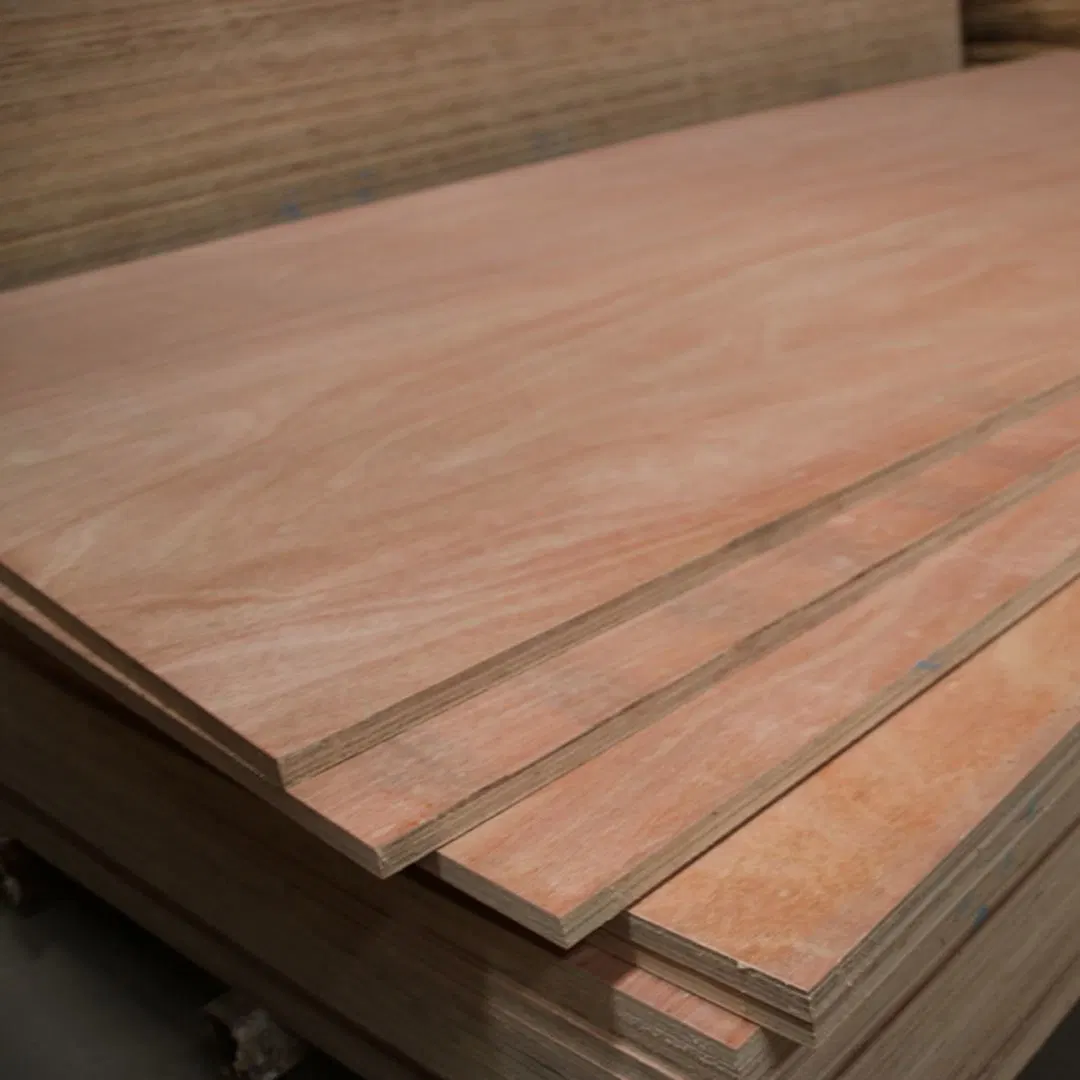 Waterproof Marine Plywood Factory Wholesale/Supplier with Quality