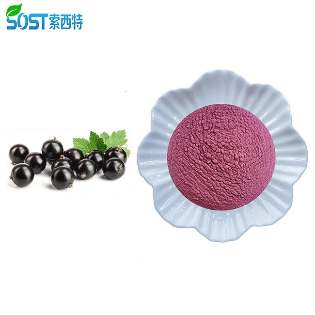 Chinese Supplier Free Sample Acai Berry Powder Bulk