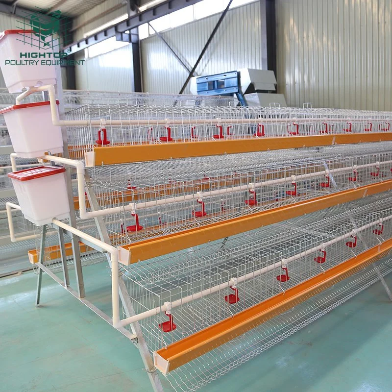 Manufactory Hightop Brand Multiple Tiers Salt Corrosion  Chicken Layer Cages For Poultry Farm