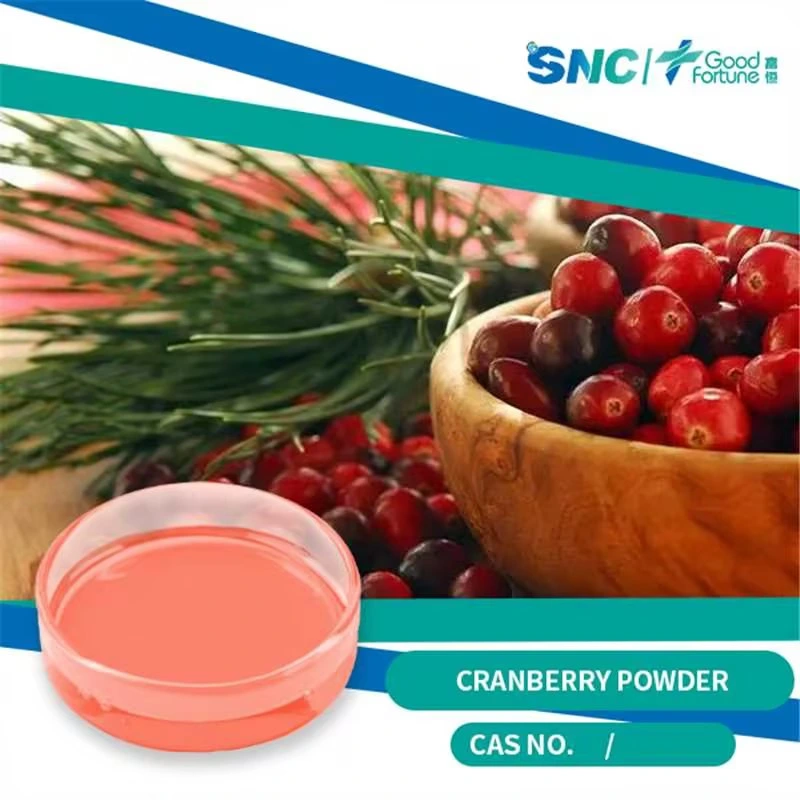100% natürliche Lebensmittel und Getränke Bio Cranberry Fruit Extract Freeze Getrocknetes Cranberry-Pulver