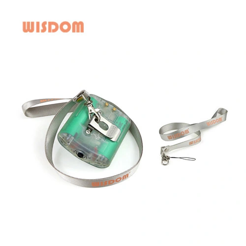 New Wisdom Fashion Belt for Hanging Lamp