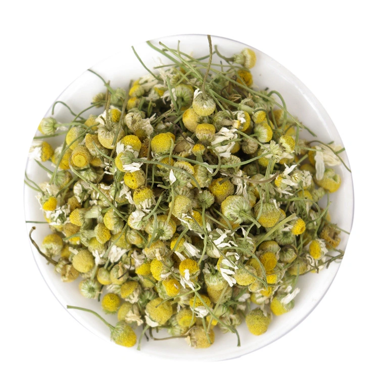 Ervas chinesas Chá de flores 100% Natural Chá seco Chamomile