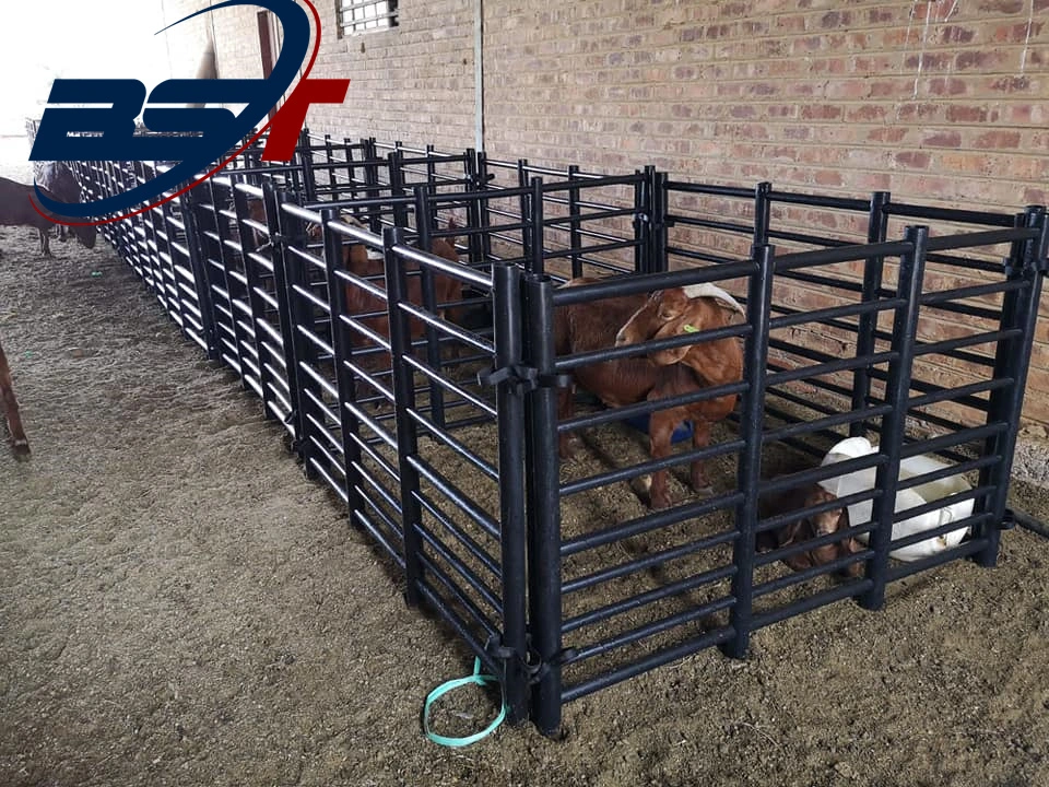 L'élevage de chevaux de l'équipement Corral Yard ferme la porte du panneau de clôture