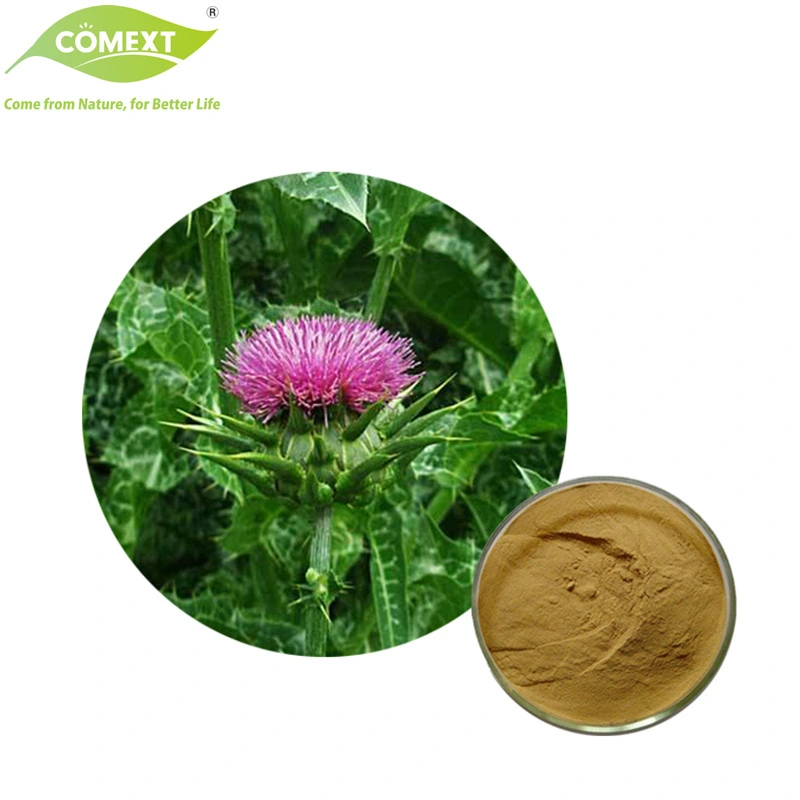 إمداد Comext إمداد الحليب المقتطف من النبات طبيعيا Pure استخراج الحليب Thistle استخراج 80% سيلمارين