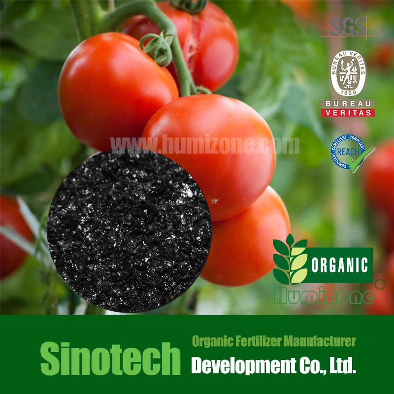 Tomato/Potato/Berry Plant Food Organic Potassium Humate