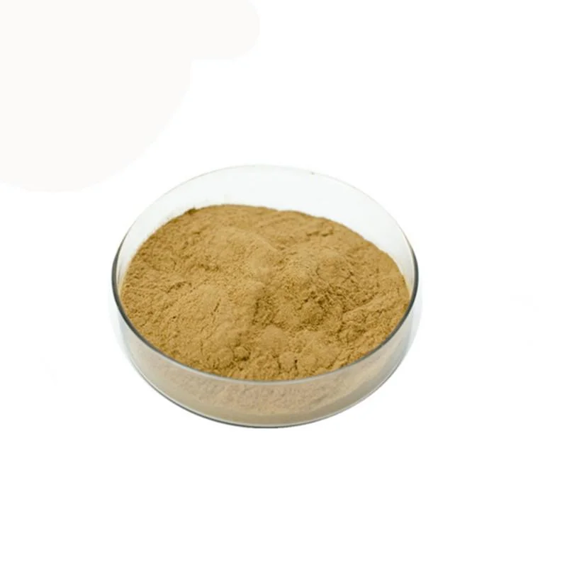 China Medicine Herbal Agastache Extract Agastache Rugosa Extract Powder