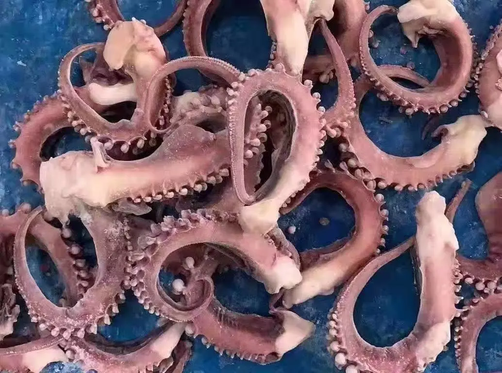 Замороженный Кальмар Tentacle/Calamari/Calamar/Calmar/о борьбе с терроризмом