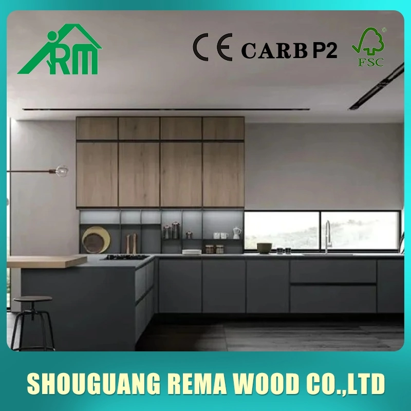 Wholesale/Supplier Price China Manufacture Design Modern Modular Kitchen Cabinets Modern Furniture Home Furniture