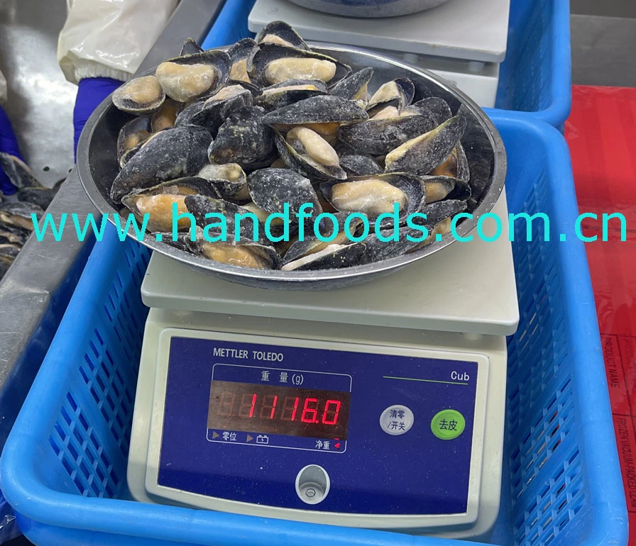 Good Quality Seafood of Frozen Cooked Half Shell Blue Mussel for People's Healthy 100% Natural