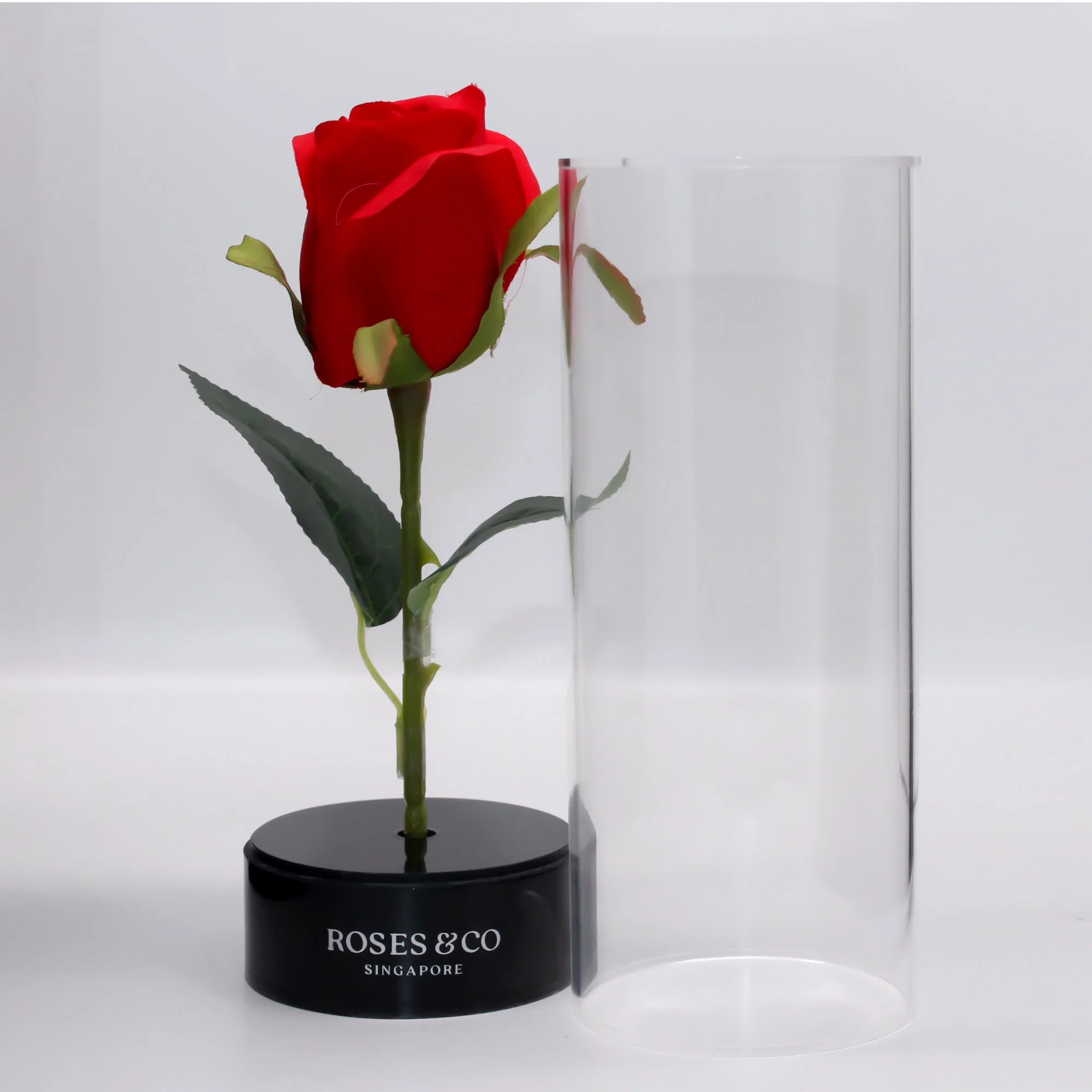 Flower Handle Box Transparent Cylinder Single Flower Box Acrylic Rose Bouquet Packing Box Valentine's Day